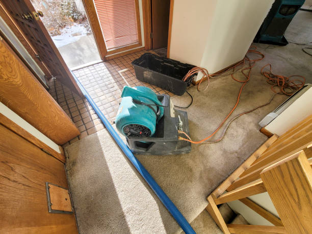 Best Ceiling water damage repair  in Petersburg, MI