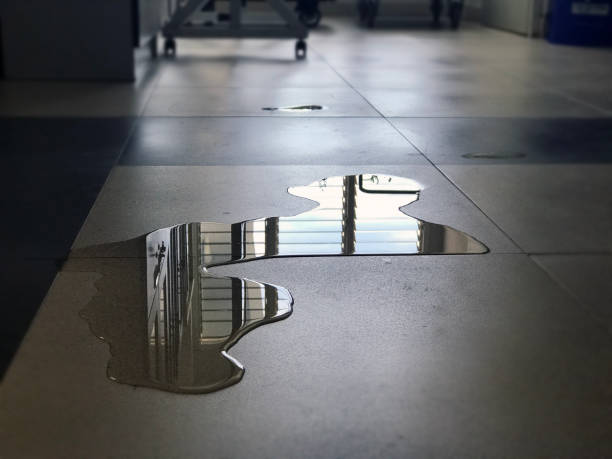 Best Water damage mitigation services  in Petersburg, MI