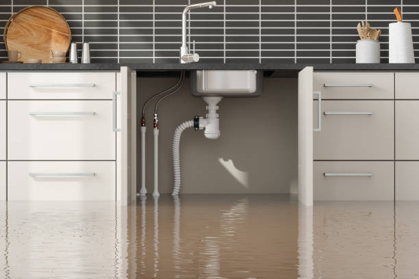 Best Water damage restoration near me  in Petersburg, MI