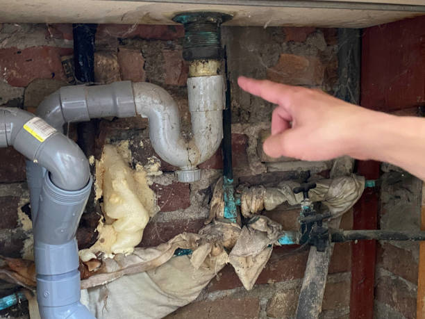 Best Water damage cleanup near me  in Petersburg, MI